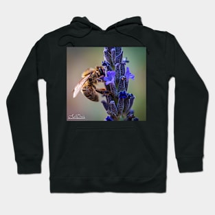 BEE LIFE Hoodie